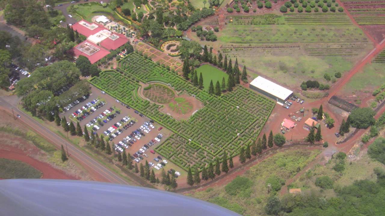 Dole plantation, the largest maze in the world.