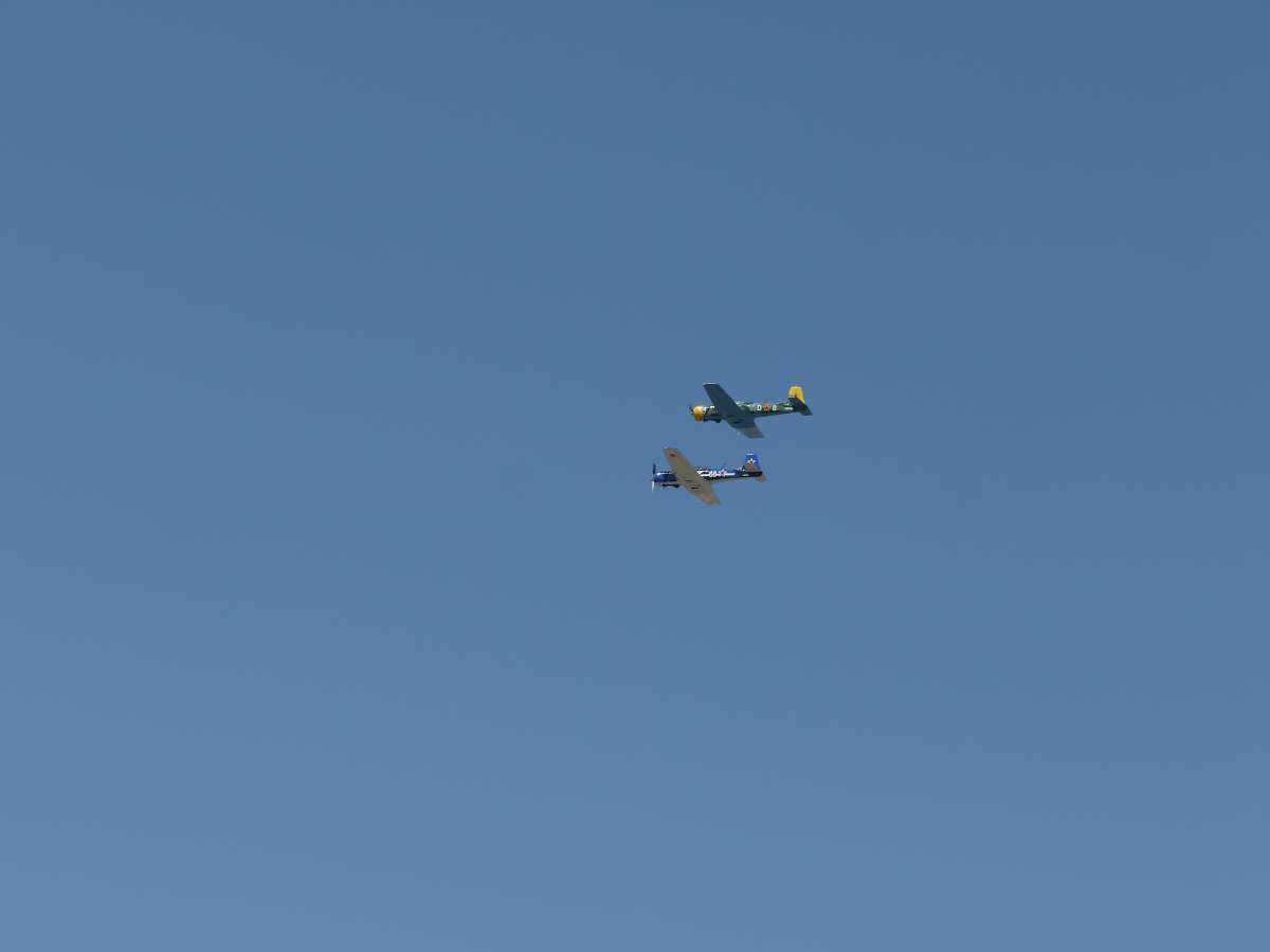 2 CJ-6s Formation    Lead - James Xie  Wingman - James Bu / Robin Hou