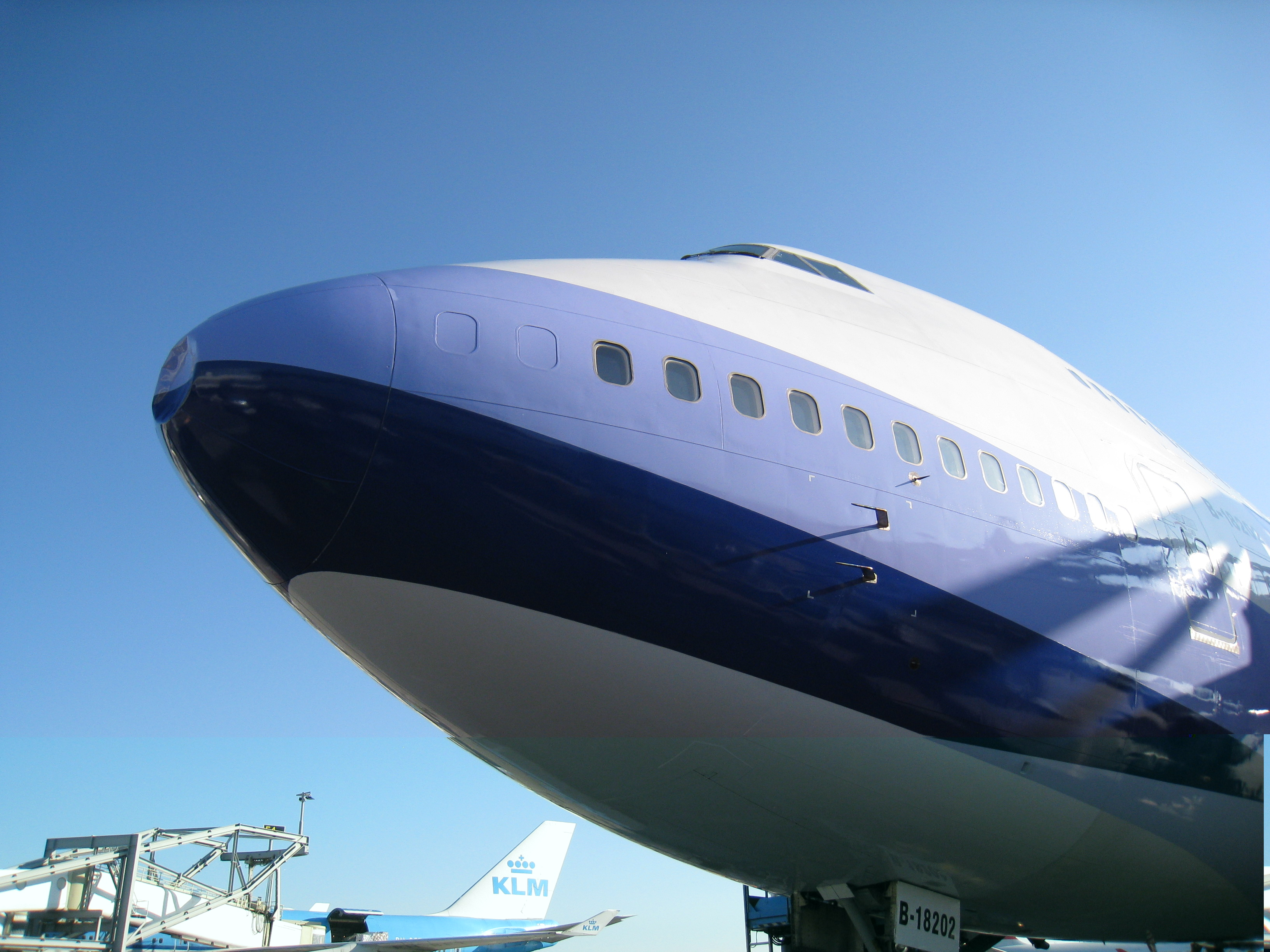 Bird strike damage - CAL Dynasty 747-400