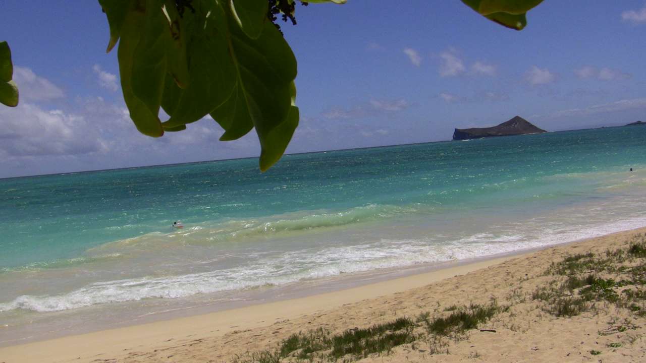 The beach we stay in Oahu